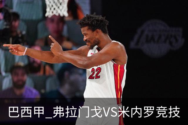 巴西甲 弗拉门戈VS米内罗竞技