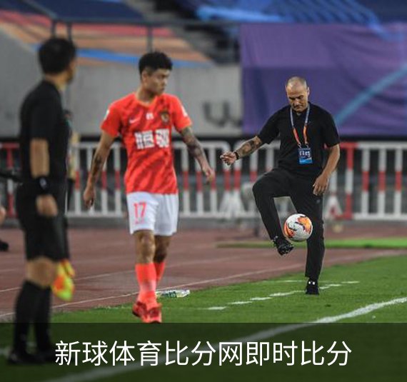 了解新球体育比分网即时比分